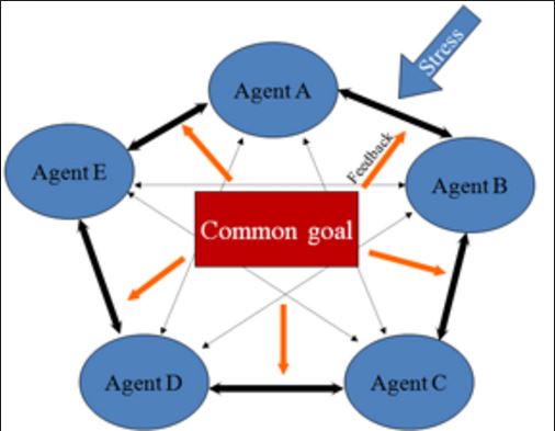 Complex system goal